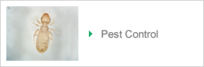 Pest Control