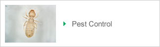 Pest Control