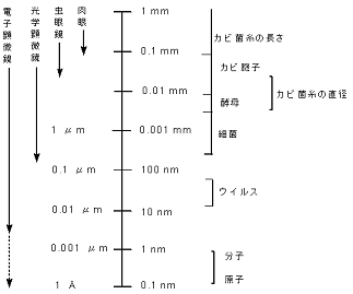 文部科学省2.png